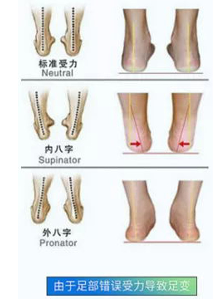 1632446292338690.jpg 未标题-6.jpg