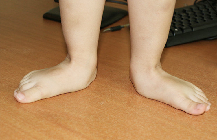 1634540381493878.jpg 1634540381493878.jpg