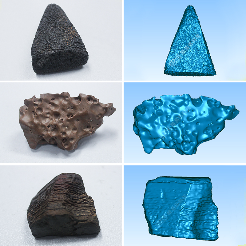 化石三维数据化存档解决方案(高校地质学院)